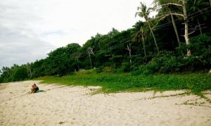 ขาย ที่ดินติดชายหาด สวยมาก เกาะลันตา เพื่อทำรีสอร์ท บ้านพัก